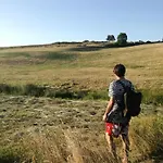 Chez Niki
