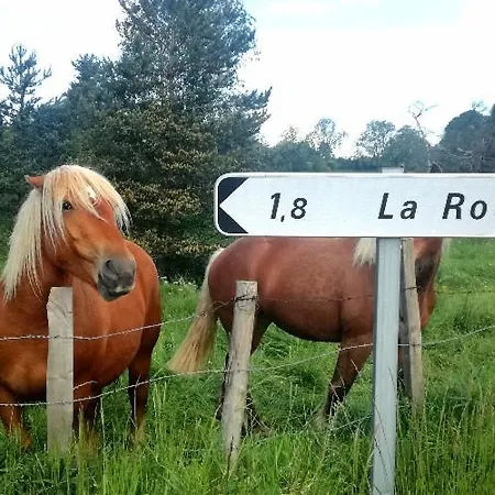 Chez Niki * Rieutort