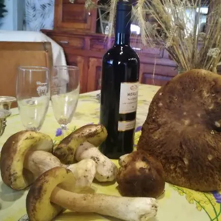 Chez Niki Rieutort-de-Randon