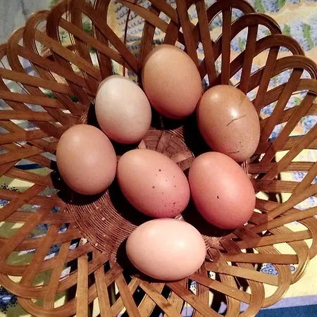 Chez Niki * Rieutort-de-Randon