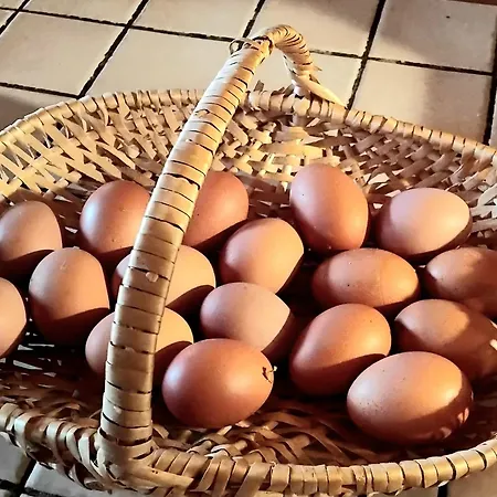 Chez Niki Σπίτι διακοπών *