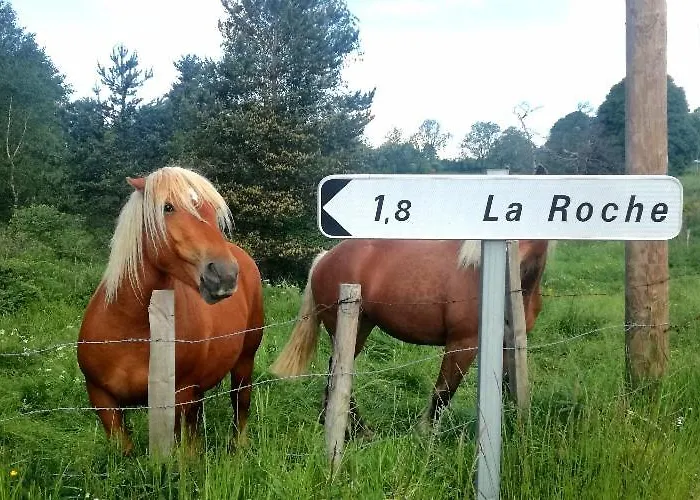 Chez Niki * Rieutort