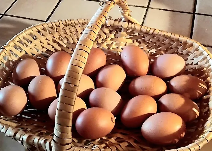 Chez Niki 度假居 *