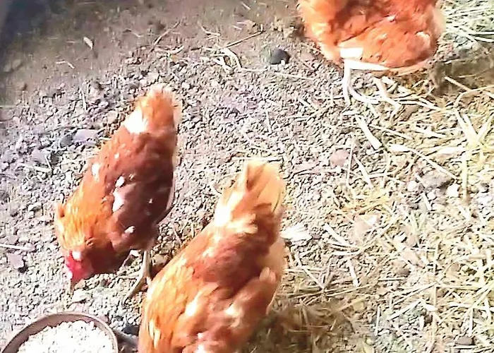 Chez Niki Σπίτι διακοπών